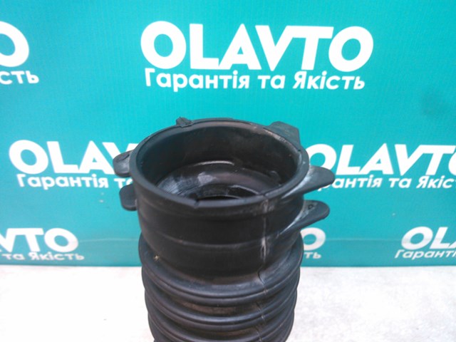 8200519077 RENAULT купить в Винница