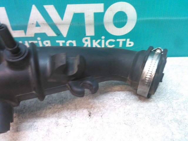 8200519077 RENAULT купить в Винница