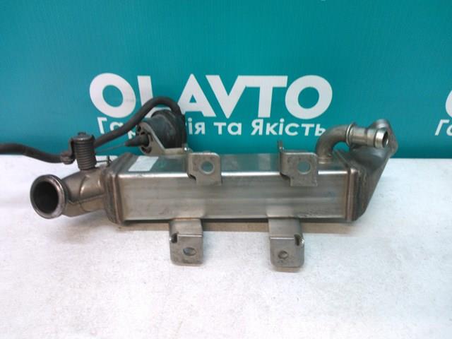 8200620695 RENAULT купить в Черкассы
