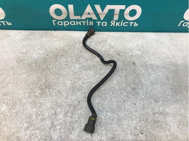 8200826116 RENAULT Трубка топливная от клапана отсечки до ТНВД купить в Ровно