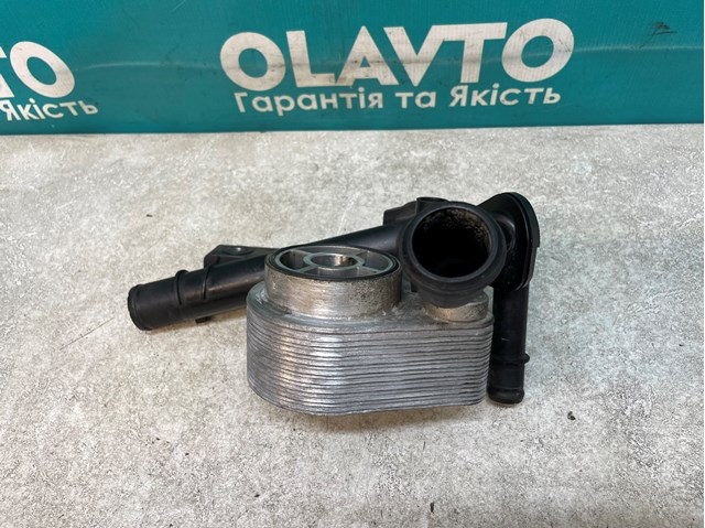 8201018057 RENAULT купить в Полтава