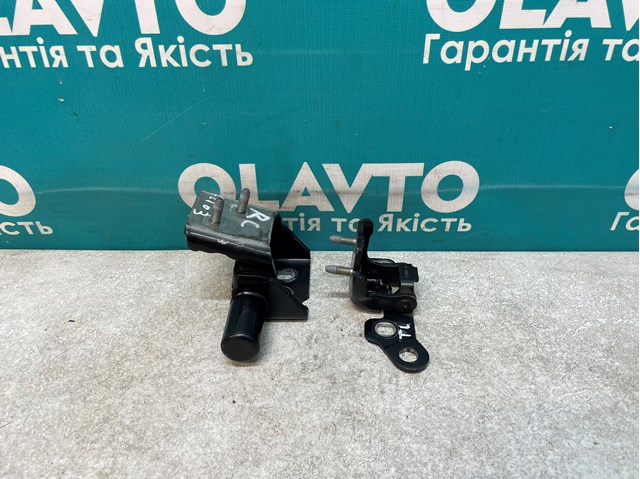 824214963R RENAULT Петля двери задней левой купить в Черновцы