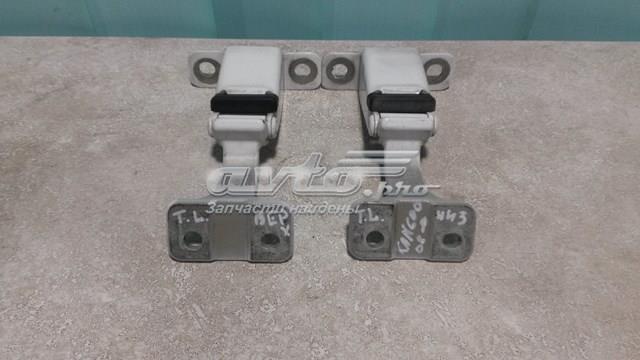 Петля двери задней (распашной)  904008309R RENAULT