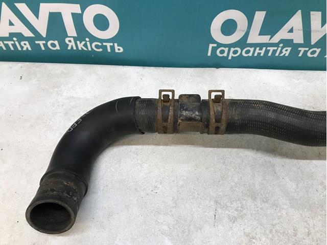 R2AA15184 Шланг (патрубок) радиатора охлаждения нижний купить Харьков
