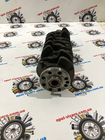 122012273R Коленвал купить Тернополь