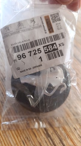 96725584XS Peugeot/Citroen