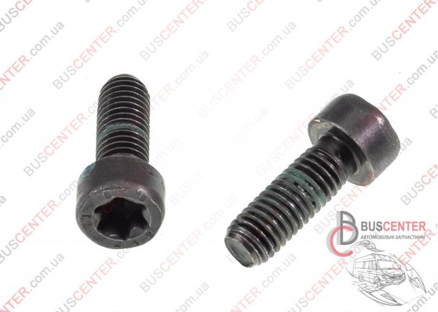Болт крепления маховика 55221004 FIAT