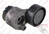 Натяжитель клинового ремня 8200048486 RENAULT