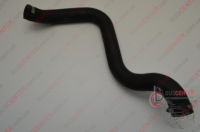 8200208510 RENAULT Патрубок интеркулера купить в Полтава