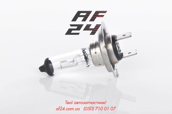 BOSCH 1987302079 Лампочка галогенная в наличии Черкассы