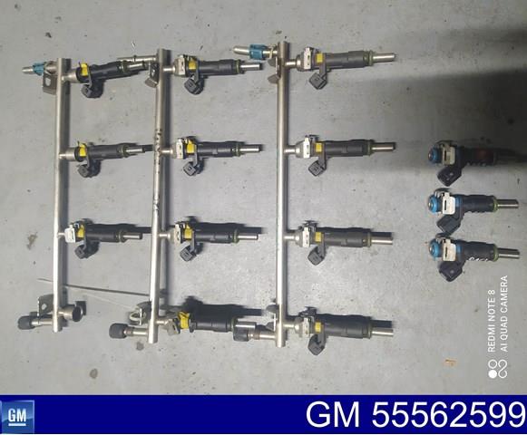 Форсунка дизельная в сборе 55562599 GM