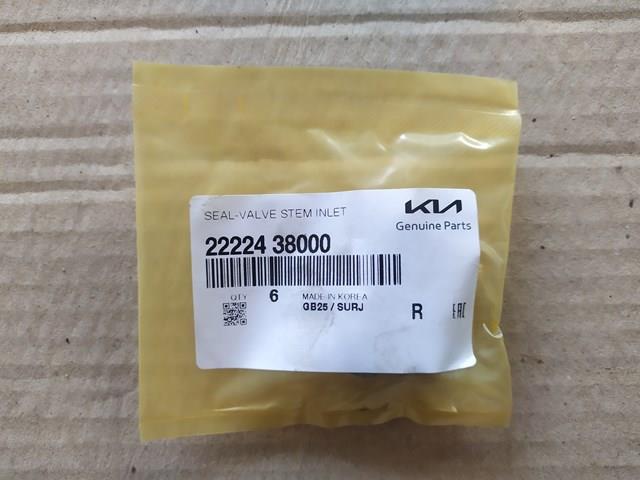 2222438000 HYUNDAI Сальники клапанов купить в Черкассы