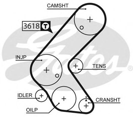 ГРМ ремни 5563XS GATES