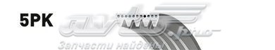 5PK978 Ремень агрегатов приводной купить Одесса