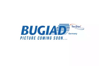 BSP24688 BUGIAD Цапфа (поворотный кулак) передний левый купить в Львов