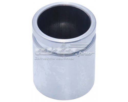 D025120 Поршень суппорта тормозного заднего купить Павлоград