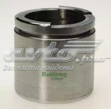 AUTOFREN D025315 Поршень суппорта тормозного переднего в наличии Житомир