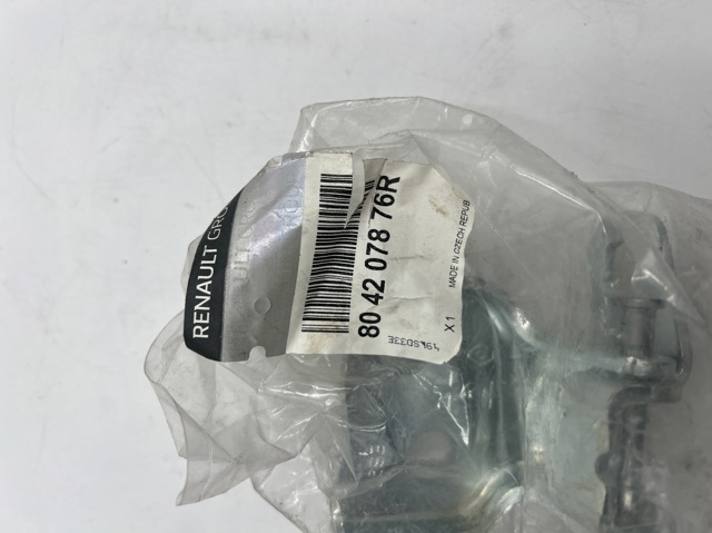 RENAULT 804207876R Петля двери передней в наличии Кривой Рог