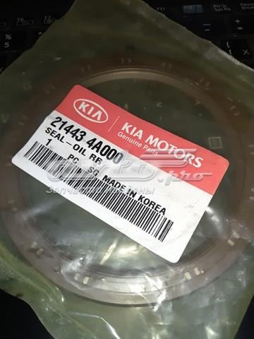 214434A000 Сальник коленвала двигателя задний купить Каменское