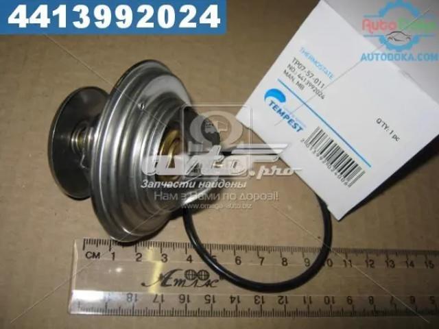 Термостат в корпусе TP0757011 TEMPEST