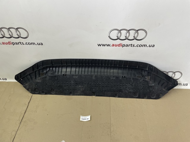 Кенгурятник 8W0807611E VAG