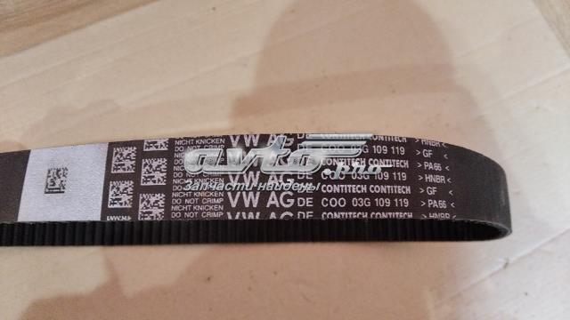 VAG 03G109119 Ремень ГРМ в наличии Хмельницкий