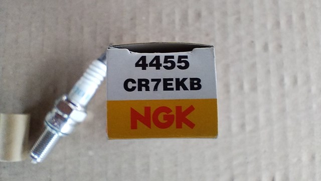 Свечи зажигания 4455 NGK