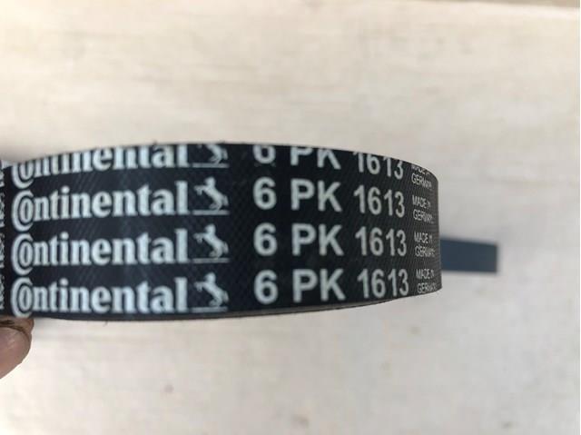 CONTINENTAL 6PK1613 Ремень генератора в наличии Днепр