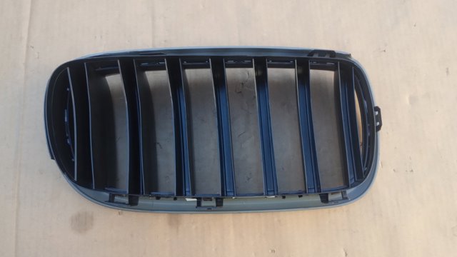 7316075 BMW купить в Ирпень