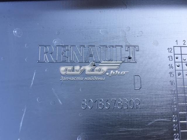 828763777R RENAULT Накладка двери задней правой купить в Черновцы