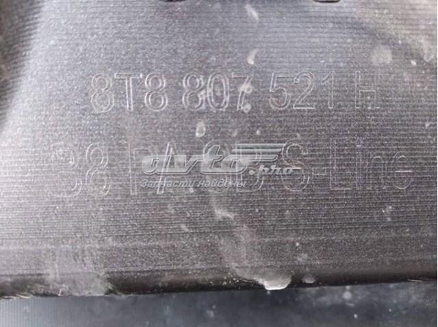 VAG 8T8807521H1RR в наличии Запорожье