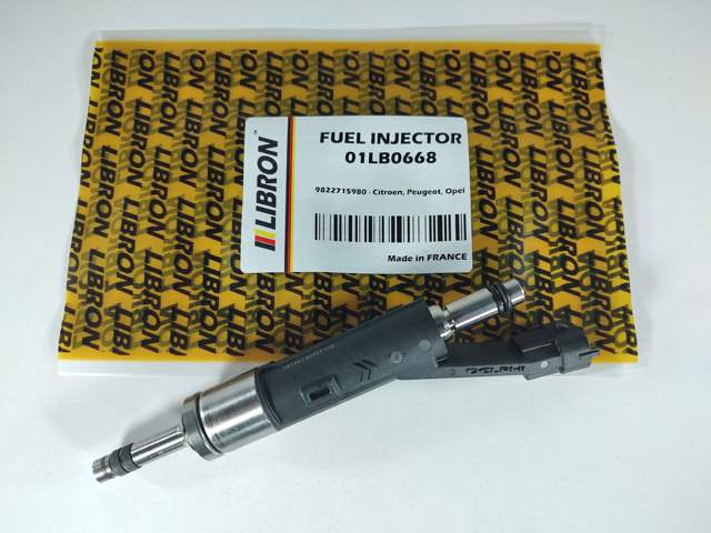 Форсунка впрыска топлива 01LB0668 LIBRON
