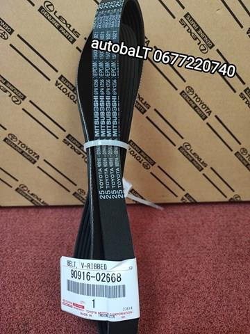 9091602668 Ремень агрегатов приводной купить Житомир