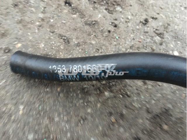 13537801660 BMW купить в Житомир