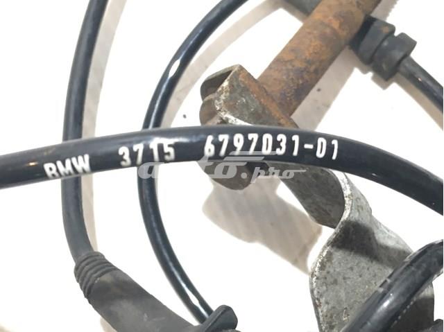 37156797031 купить Полтава