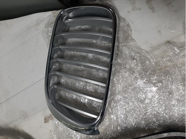 Решетка радиатора левая 51117210725 BMW