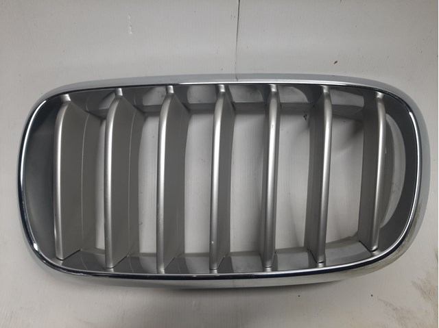 Решетка радиатора левая 51117303109 BMW