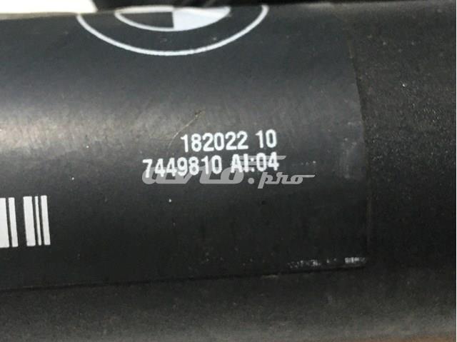 51247434042 BMW Амортизатор крышки багажника (двери 3/5-й задней) купить в Одесса