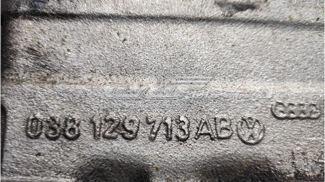 VAG 038129713AB Впускной коллектор в наличии Ровно
