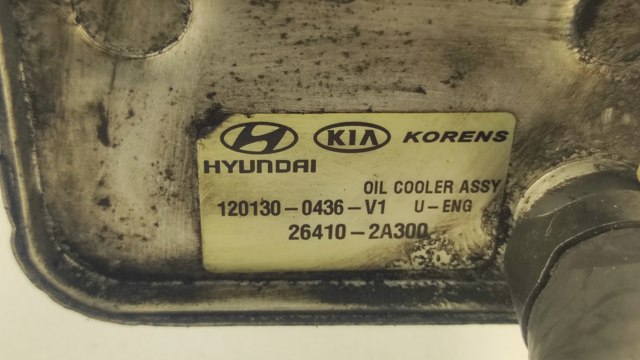264102A300 HYUNDAI Радиатор масляный (холодильник), под фильтром купить в Киев