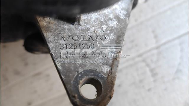 31251250 VOLVO Натяжитель приводного ремня купить в Сумы