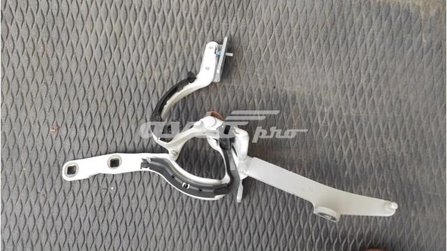 BMW 41627206641 Петля крышки багажника в наличии Ирпень