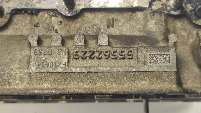 55562229 GM ГБЦ купить в Тернополь