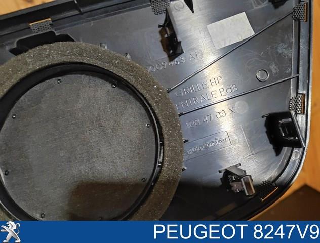 8247V9 PEUGEOT купить в Винница
