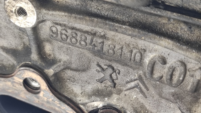 9688418110 PEUGEOT Головка блока цилиндров (ГБЦ) купить в Львов