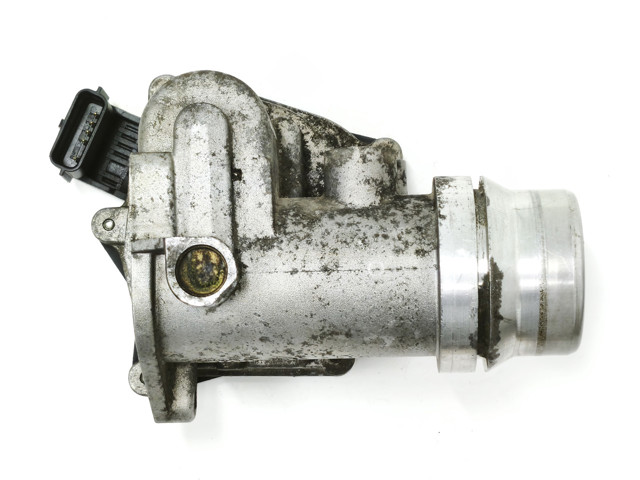 RENAULT 161A09287R Дроссельная заслонка в наличии Черновцы