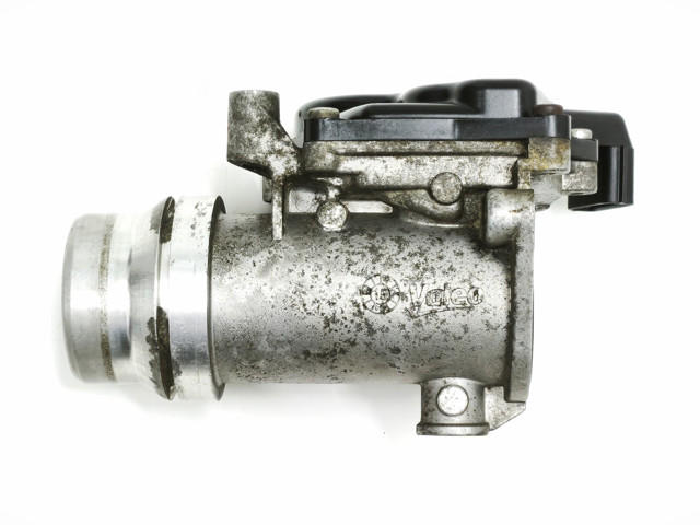 161A09287R RENAULT Дроссельная заслонка в сборе купить в Винница