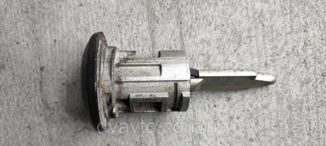 4359018 FORD Личинки замков купить в Николаев