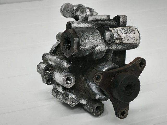 ГУР руля 491101050 RENAULT