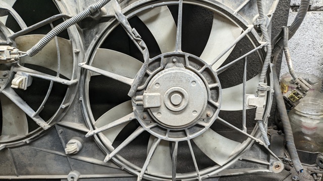 Мотор вентилятора системы охлаждения, правый 1636328170 TOYOTA